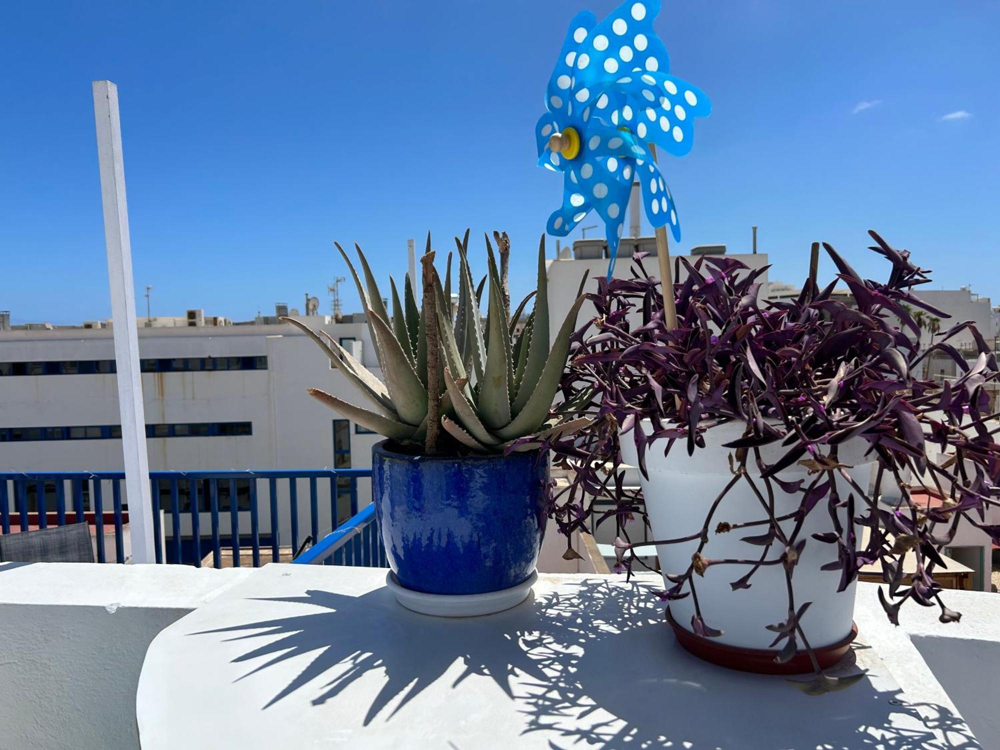 ארסיפה La Buganvilla Rooms מראה חיצוני תמונה