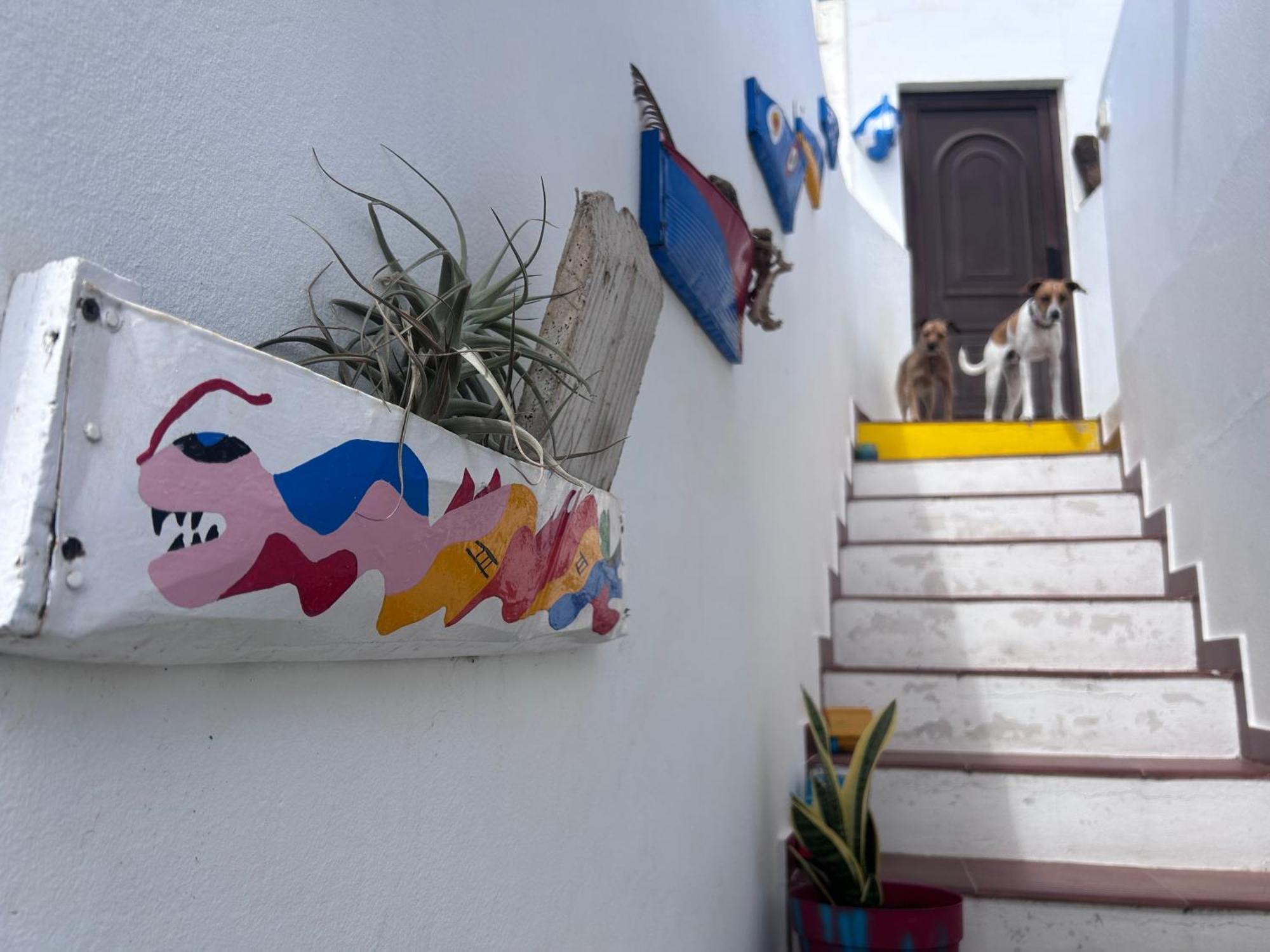 ארסיפה La Buganvilla Rooms מראה חיצוני תמונה